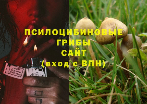 COCAINE Верхний Тагил