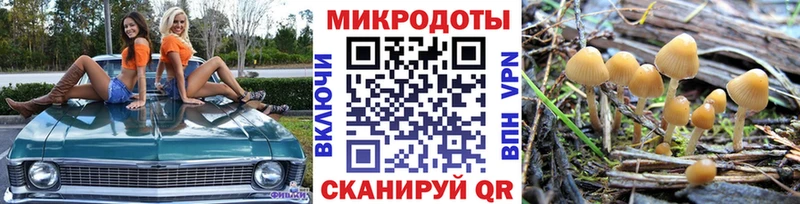 Псилоцибиновые грибы Cubensis  наркота  Певек 